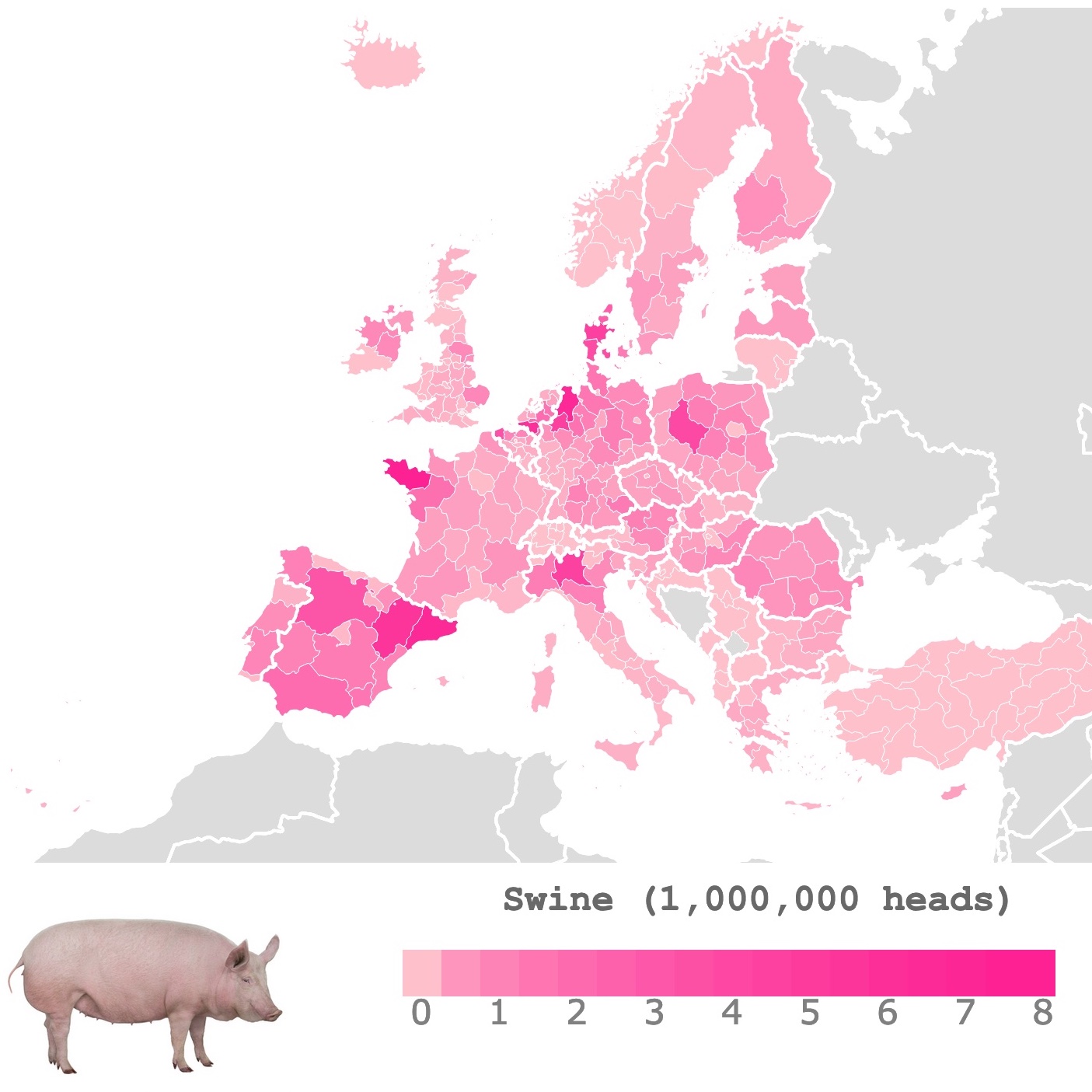 Map of swine production in Europe