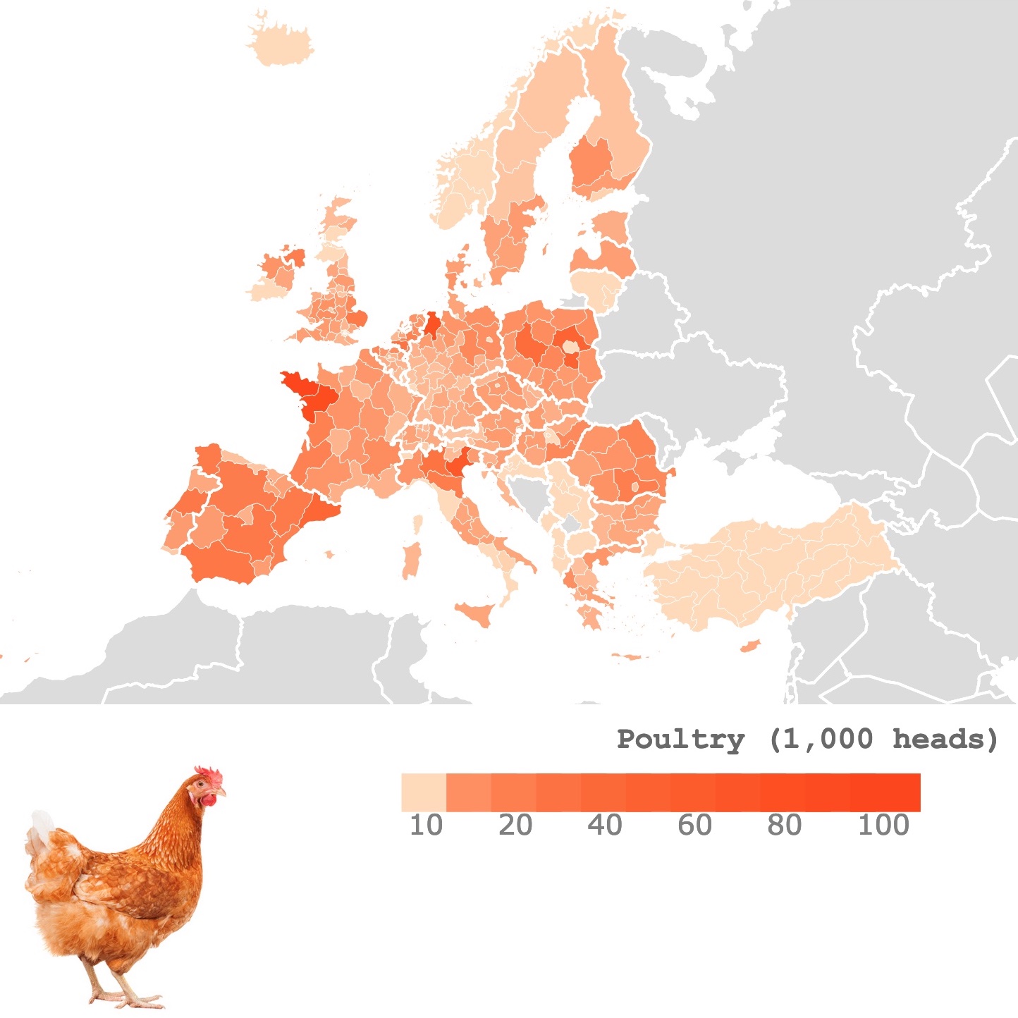 Map of Poultry Production in Europe