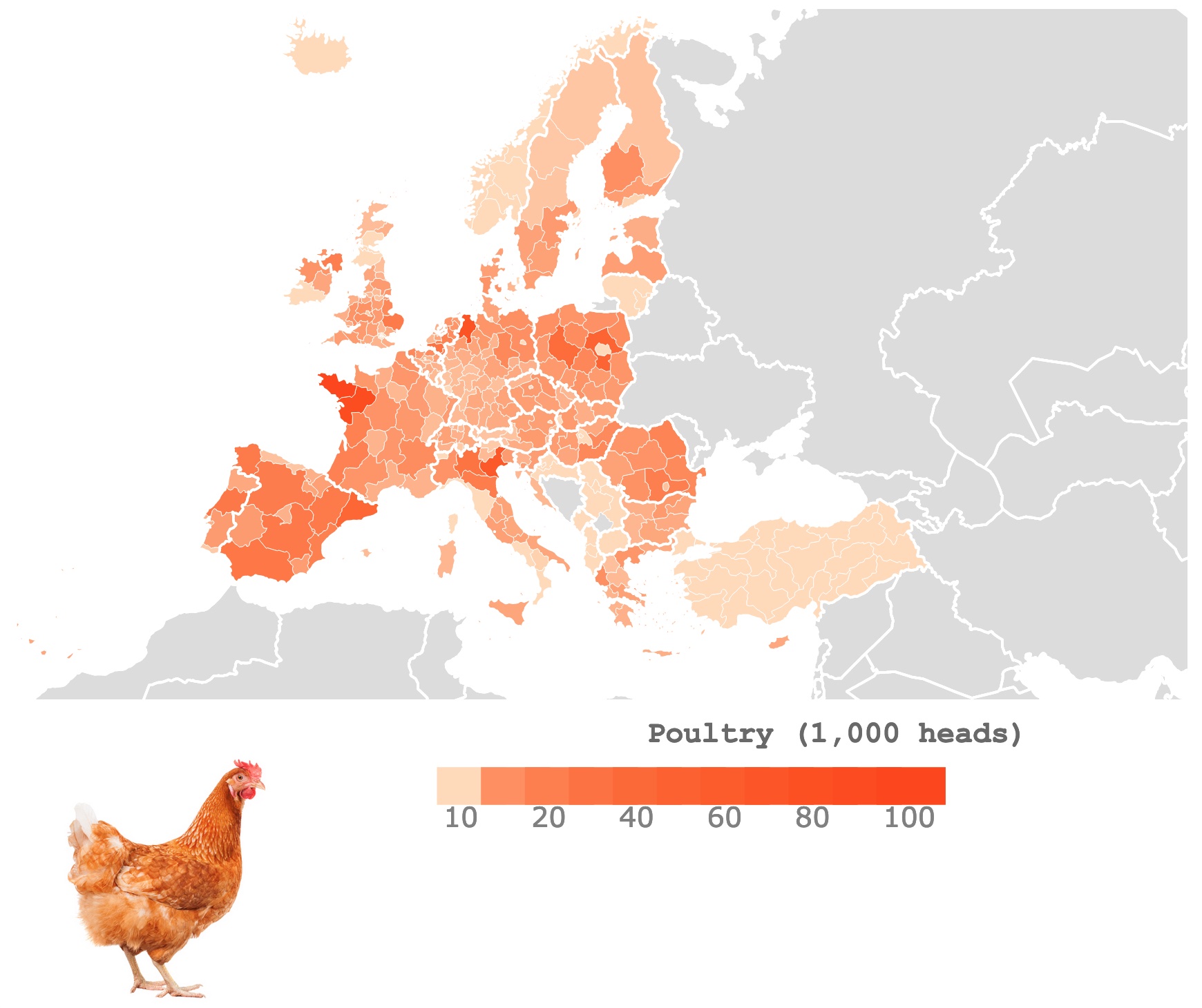 Map of poultry in Europe
