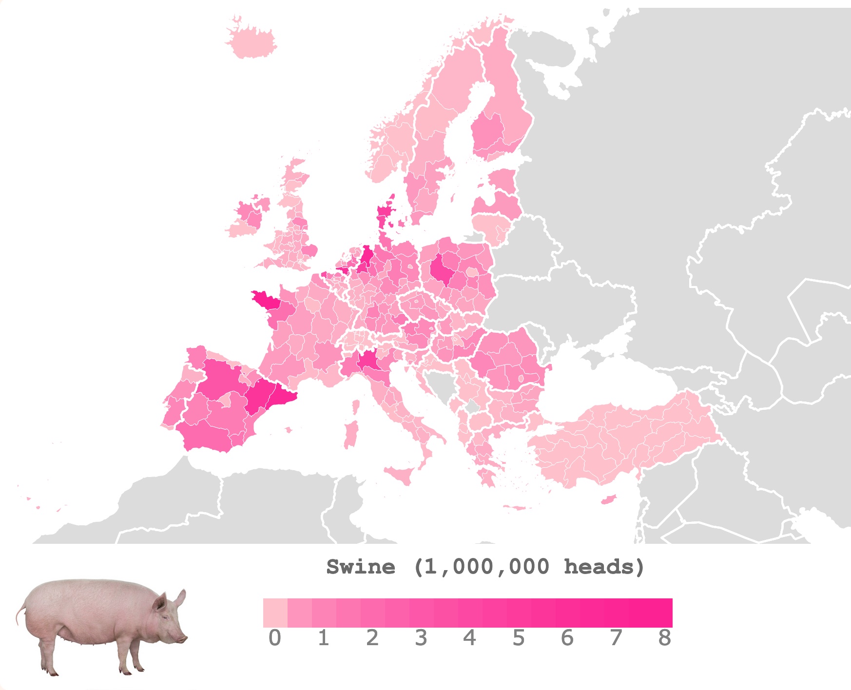 Map of swine in Europe